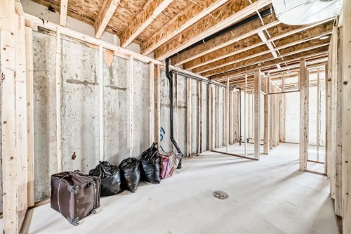 324 Cornerbrook Drive Ne, Calgary, AB - Indoor Photo Showing Basement
