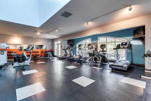 3506-24 Hemlock Crescent Sw, Calgary, AB - Indoor Photo Showing Gym Room