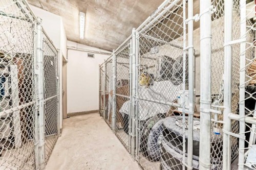 3506-24 Hemlock Crescent Sw, Calgary, AB - Indoor With Storage