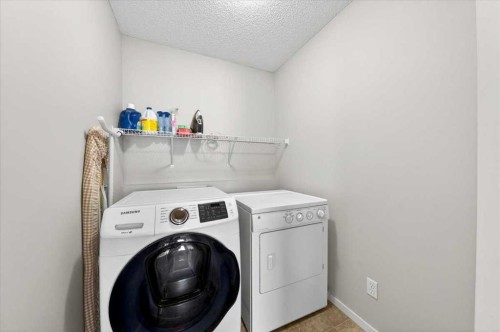 244 Silverado Range View Sw, Calgary, AB - Indoor Photo Showing Laundry Room