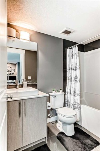 6204-302 Skyview Ranch Drive Ne, Calgary, AB - Indoor Photo Showing Bathroom