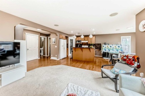 250 Royal Birch Way Nw, Calgary, AB - Indoor Photo Showing Living Room