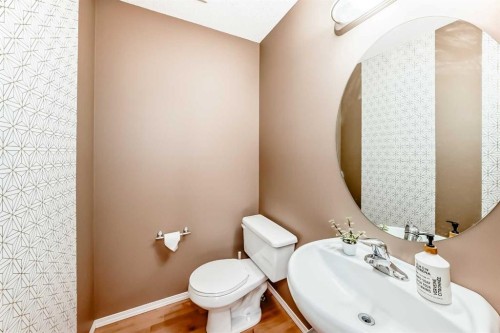 250 Royal Birch Way Nw, Calgary, AB - Indoor Photo Showing Bathroom