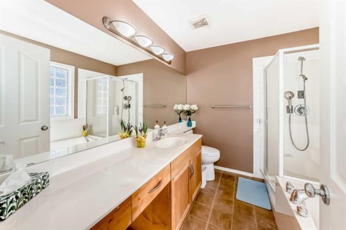 250 Royal Birch Way Nw, Calgary, AB - Indoor Photo Showing Bathroom