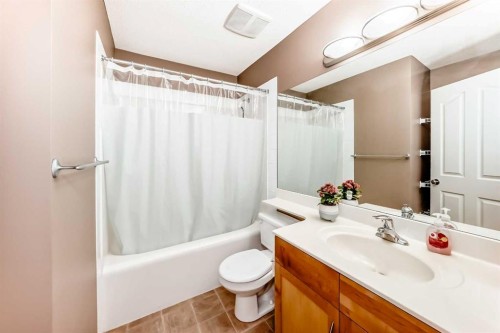 250 Royal Birch Way Nw, Calgary, AB - Indoor Photo Showing Bathroom