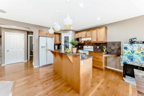 250 Royal Birch Way Nw, Calgary, AB - Indoor Photo Showing Kitchen