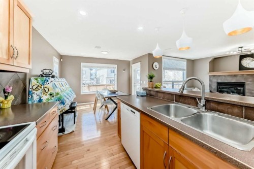 250 Royal Birch Way Nw, Calgary, AB - Indoor Photo Showing Kitchen With Double Sink