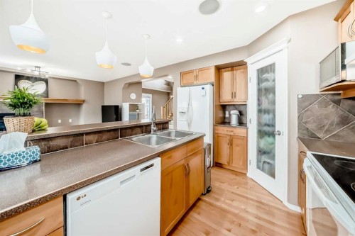 250 Royal Birch Way Nw, Calgary, AB - Indoor Photo Showing Kitchen With Double Sink
