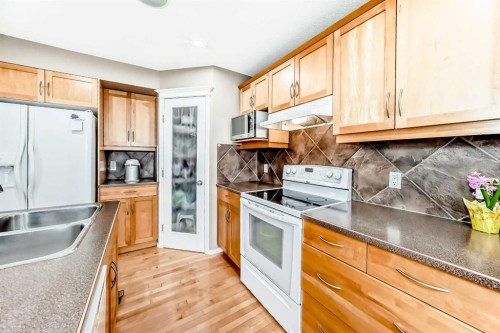 250 Royal Birch Way Nw, Calgary, AB - Indoor Photo Showing Kitchen With Double Sink