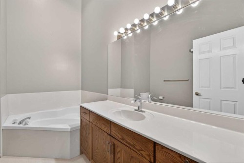 35 Douglasview Park Se, Calgary, AB - Indoor Photo Showing Bathroom
