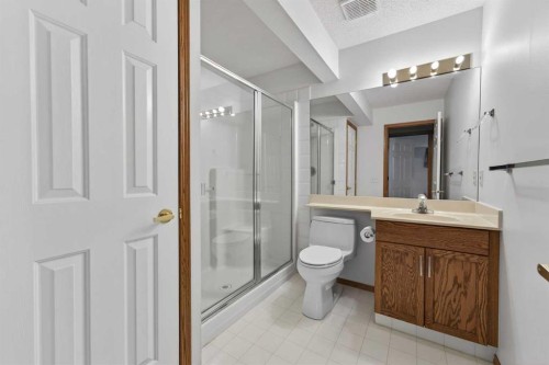 35 Douglasview Park Se, Calgary, AB - Indoor Photo Showing Bathroom