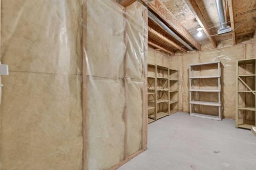 35 Douglasview Park Se, Calgary, AB - Indoor Photo Showing Basement