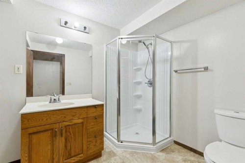 156 Falshire Close Ne, Calgary, AB - Indoor Photo Showing Bathroom