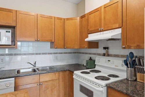417-333 Riverfront Avenue Se, Calgary, AB - Indoor Photo Showing Kitchen With Double Sink