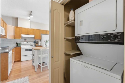 417-333 Riverfront Avenue Se, Calgary, AB - Indoor Photo Showing Laundry Room