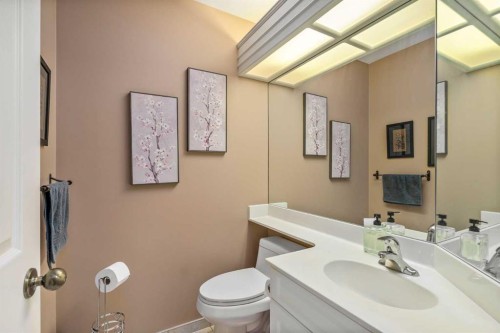 28 Hamptons Rise Nw, Calgary, AB - Indoor Photo Showing Bathroom
