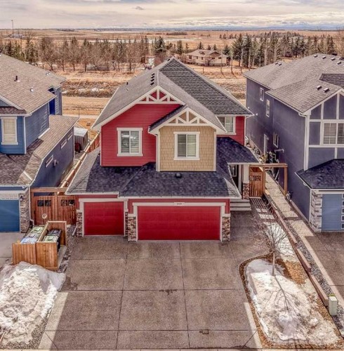 209 Sandpiper Crescent, Chestermere, AB - Outdoor