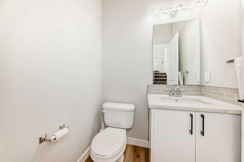 95 Cornerbrook Common Ne, Calgary, AB - Indoor Photo Showing Bathroom