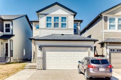 95 Cornerbrook Common NECalgary, AB T3N 1L9