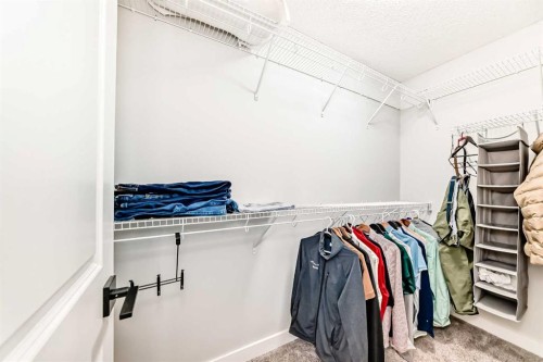 95 Cornerbrook Common Ne, Calgary, AB - Indoor With Storage