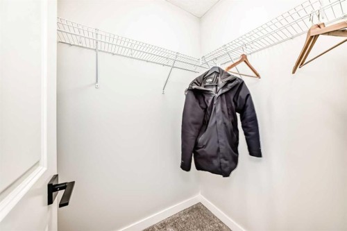 95 Cornerbrook Common Ne, Calgary, AB - Indoor With Storage