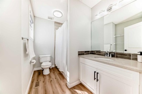 95 Cornerbrook Common Ne, Calgary, AB - Indoor Photo Showing Bathroom