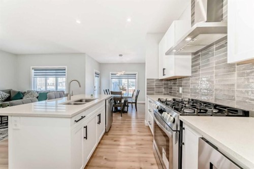 95 Cornerbrook Common Ne, Calgary, AB - Indoor Photo Showing Kitchen With Double Sink With Upgraded Kitchen