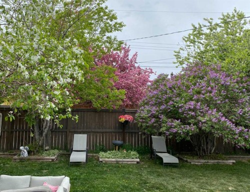 223 45 Street Sw, Calgary, AB - Outdoor