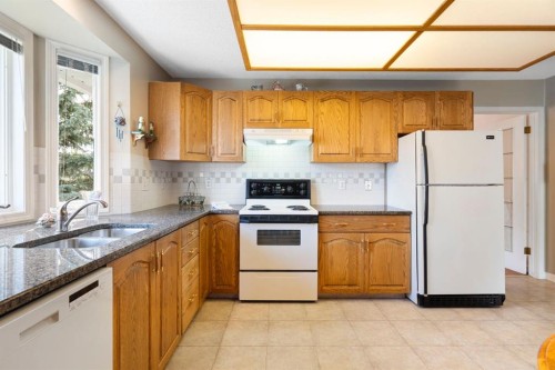 118 Shawnee Place Sw, Calgary, AB - Indoor Photo Showing Kitchen With Double Sink
