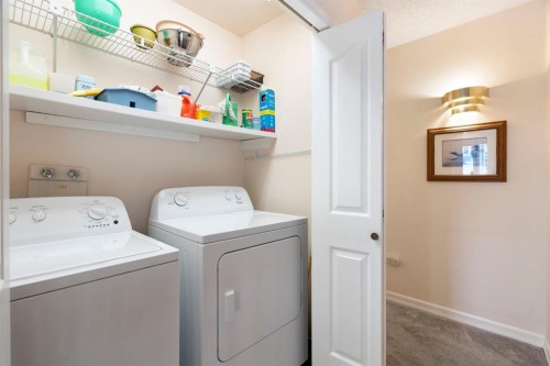 118 Shawnee Place Sw, Calgary, AB - Indoor Photo Showing Laundry Room