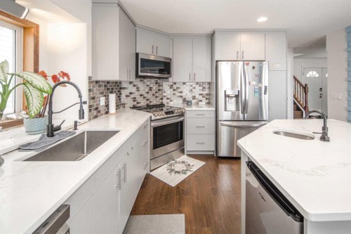 125 Coventry Crescent Ne, Calgary, AB - Indoor Photo Showing Kitchen With Upgraded Kitchen