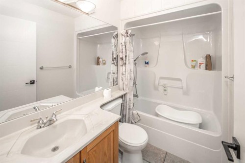 125 Coventry Crescent Ne, Calgary, AB - Indoor Photo Showing Bathroom