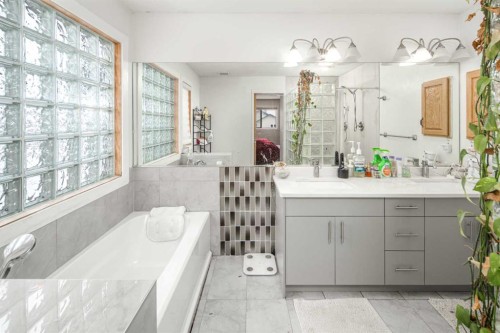 125 Coventry Crescent Ne, Calgary, AB - Indoor Photo Showing Bathroom