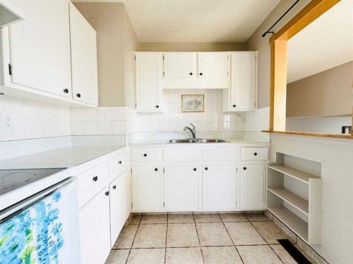 15 Pinecliff Close Ne, Calgary, AB - Indoor Photo Showing Kitchen With Double Sink