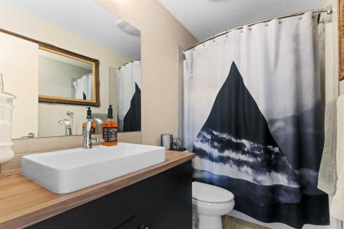 205 Copperpond Parade Se, Calgary, AB 