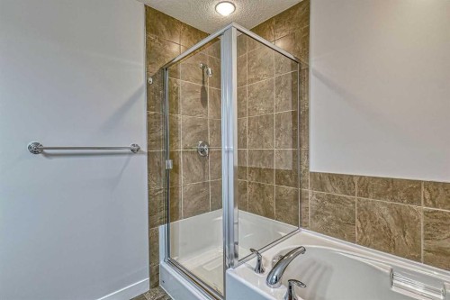 508-413 River Avenue, Cochrane, AB - Indoor Photo Showing Bathroom