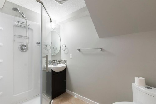 8 Hawkfield Crescent Nw, Calgary, AB - Indoor Photo Showing Bathroom