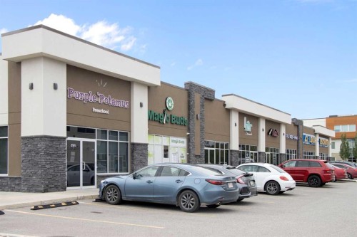71 Chaparral Grove Se, Calgary, AB - Outdoor