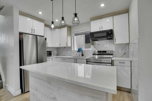 51 Taraglen Road Ne, Calgary, AB - Indoor Photo Showing Kitchen With Upgraded Kitchen