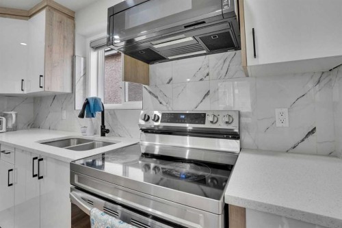 51 Taraglen Road Ne, Calgary, AB - Indoor Photo Showing Kitchen With Double Sink