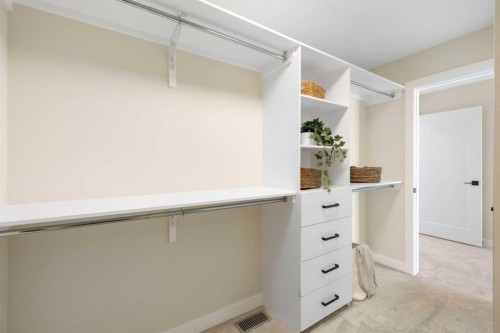 450 Kinniburgh Loop, Chestermere, AB - Indoor With Storage