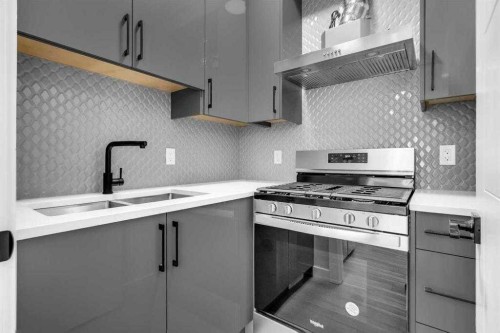 110 Saddlepeace Crescent Ne, Calgary, AB - Indoor Photo Showing Kitchen With Double Sink With Upgraded Kitchen