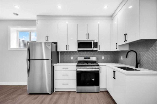 110 Saddlepeace Crescent Ne, Calgary, AB - Indoor Photo Showing Kitchen With Double Sink