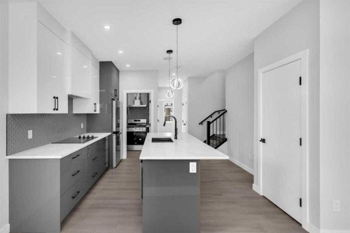 110 Saddlepeace Crescent Ne, Calgary, AB - Indoor Photo Showing Kitchen With Upgraded Kitchen