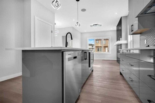 110 Saddlepeace Crescent Ne, Calgary, AB - Indoor Photo Showing Kitchen With Upgraded Kitchen