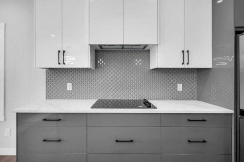 110 Saddlepeace Crescent Ne, Calgary, AB - Indoor Photo Showing Kitchen