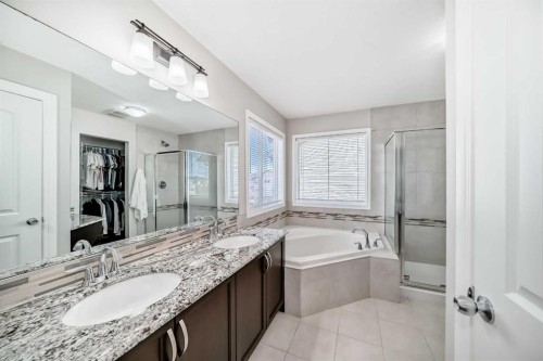 795 New Brighton Drive Se, Calgary, AB - Indoor Photo Showing Bathroom