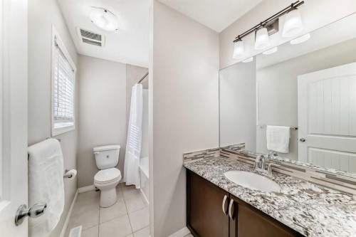 795 New Brighton Drive Se, Calgary, AB - Indoor Photo Showing Bathroom