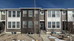 818 Cornerstone Boulevard NECalgary, AB T3N 1J4