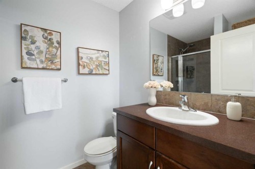 35 Walden Terrace Se, Calgary, AB - Indoor Photo Showing Bathroom